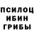 Псилоцибиновые грибы Cubensis DiZz You