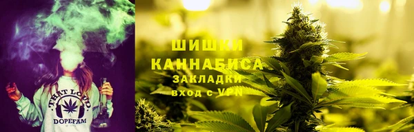 2c-b Инсар