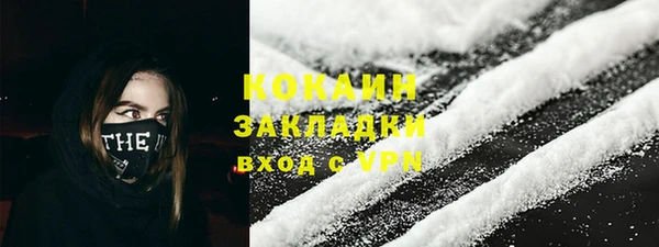 сатива Инта