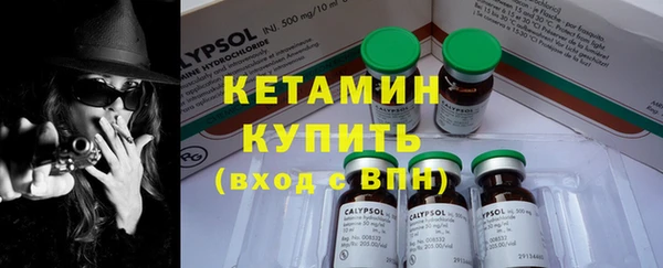 сатива Инта