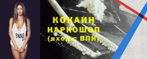 сатива Инта