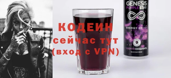 2c-b Инсар