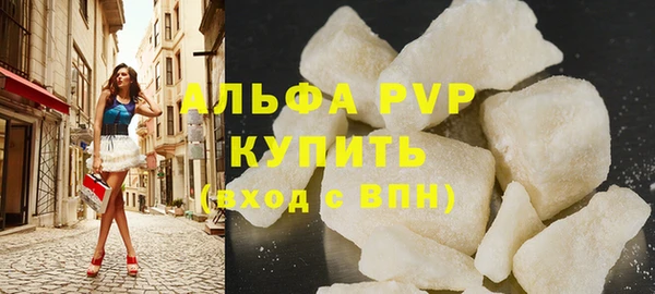 сатива Инта