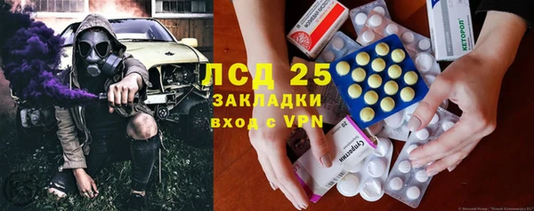 2c-b Инсар