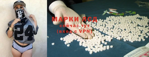 сатива Инта