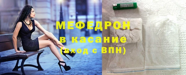 сатива Инта