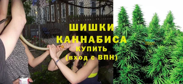 тгк Иннополис