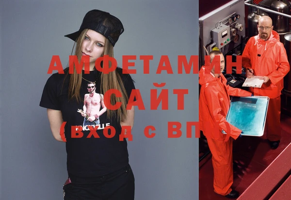 сатива Инта