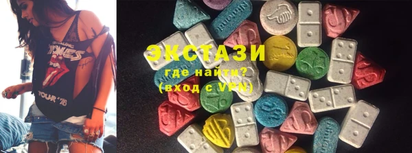 сатива Инта