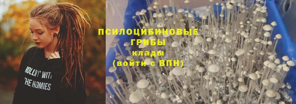 сатива Инта